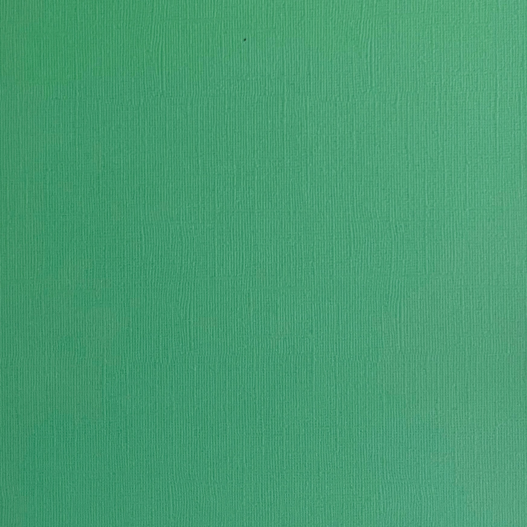 ENCORE SHAMROCK - Green Canvas Texture 25 Pack