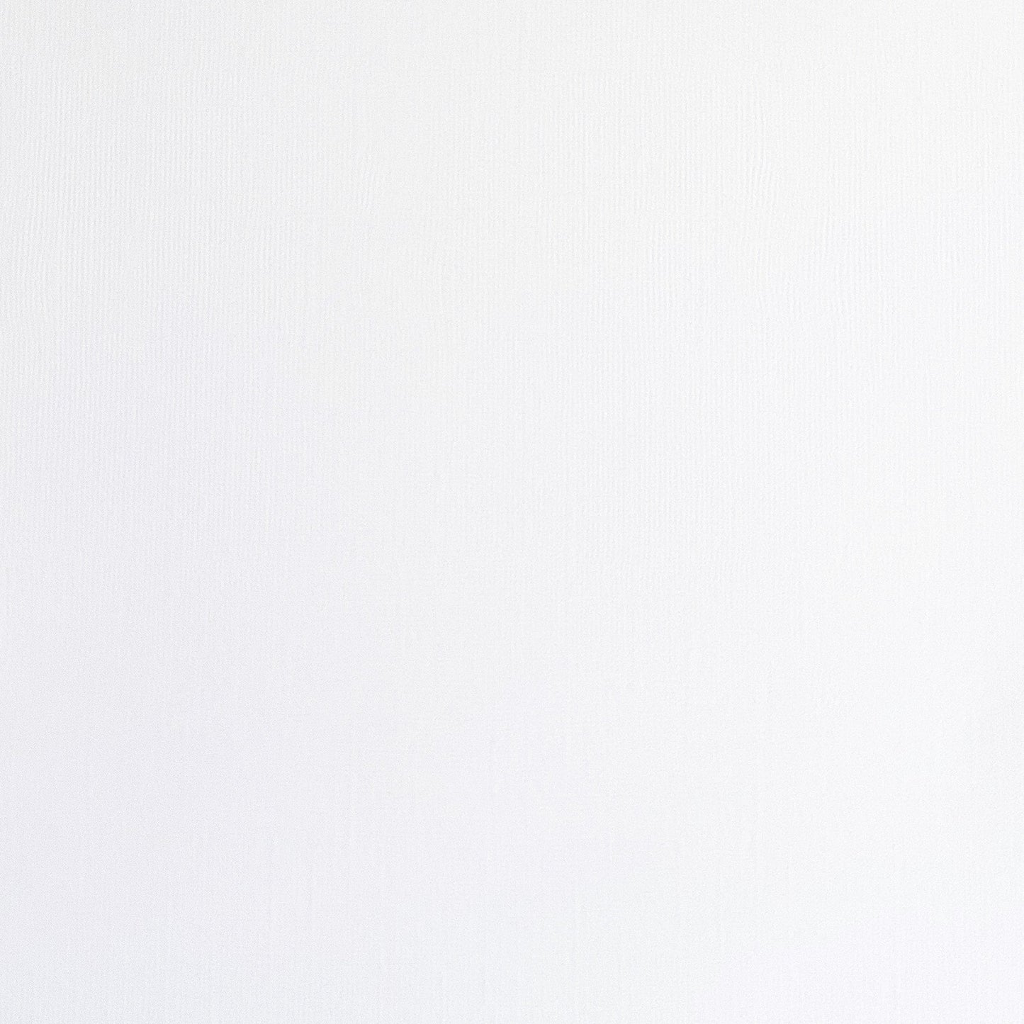 SNOWY WHITE - Textured 12x12 Cardstock - Encore Paper