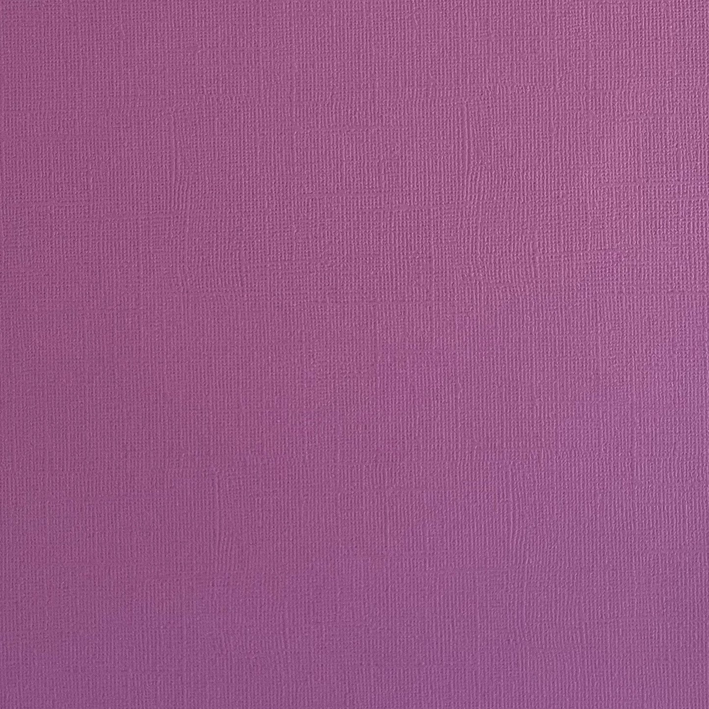 SPRING CROCUS - Plum Textured 12x12 Cardstock - Encore Paper