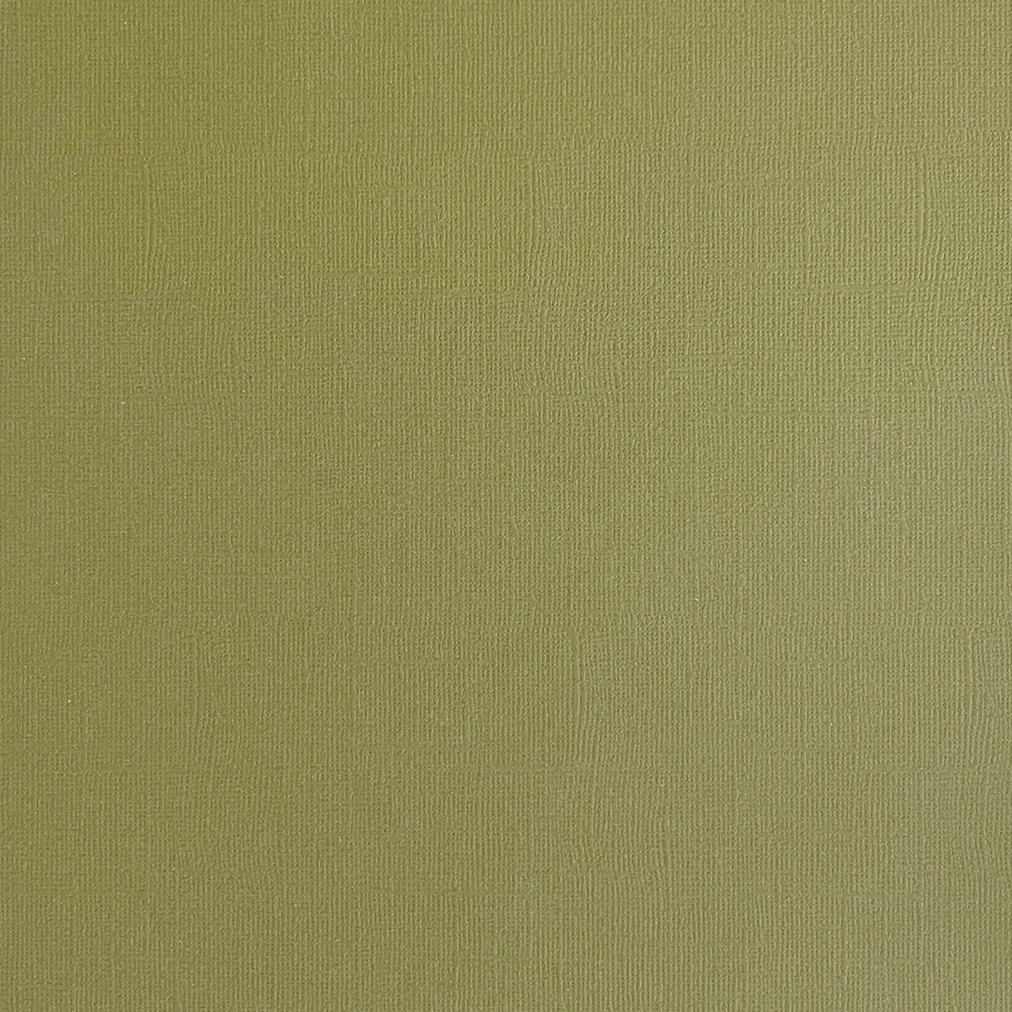 THYME - Light Sage Green Textured 12x12 Cardstock - Encore Paper