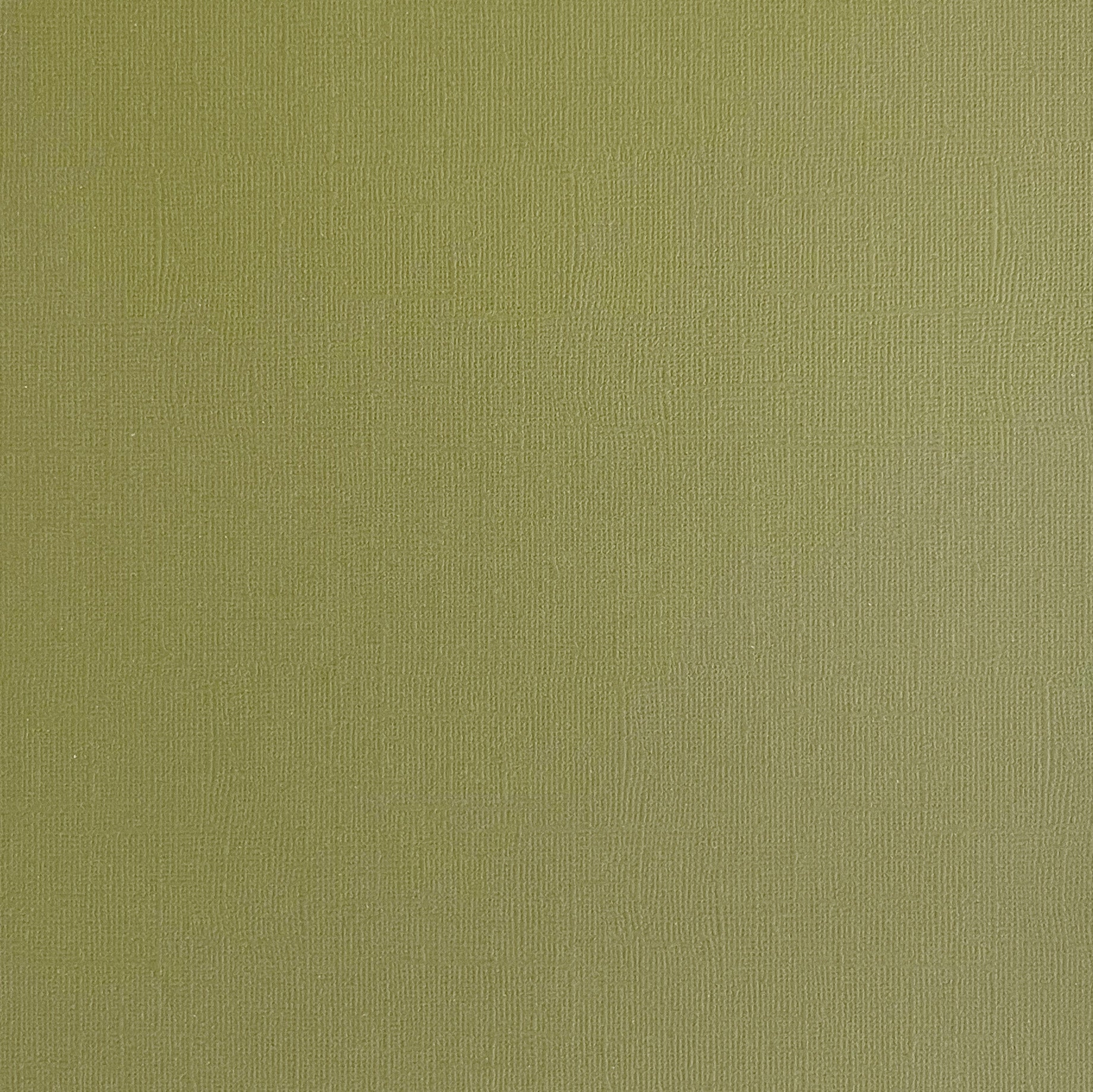 THYME - Light Sage Green Textured 12x12 Cardstock - Encore Paper