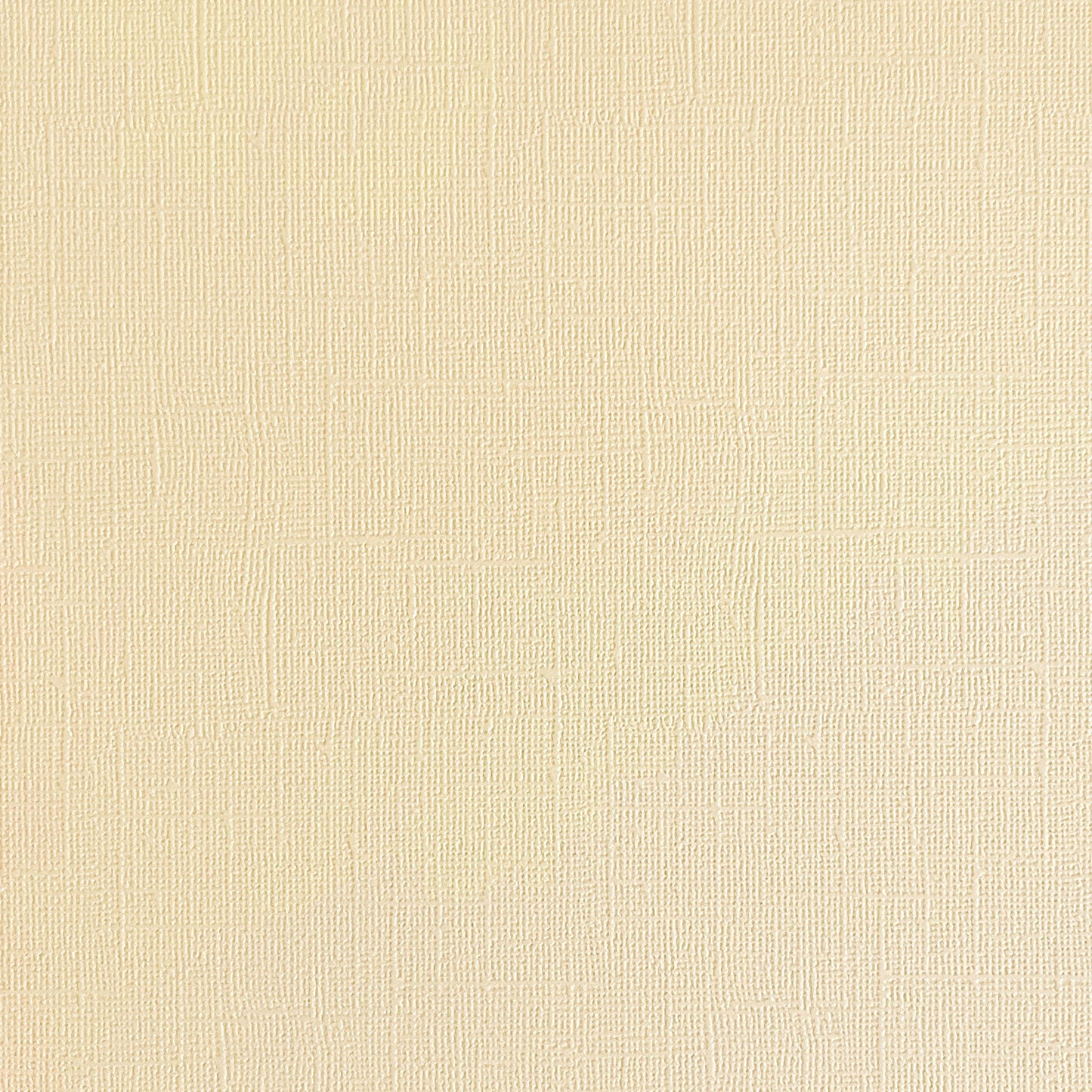 VANILLA ICE CREAM - Textured 12x12 Cardstock - Encore Paper