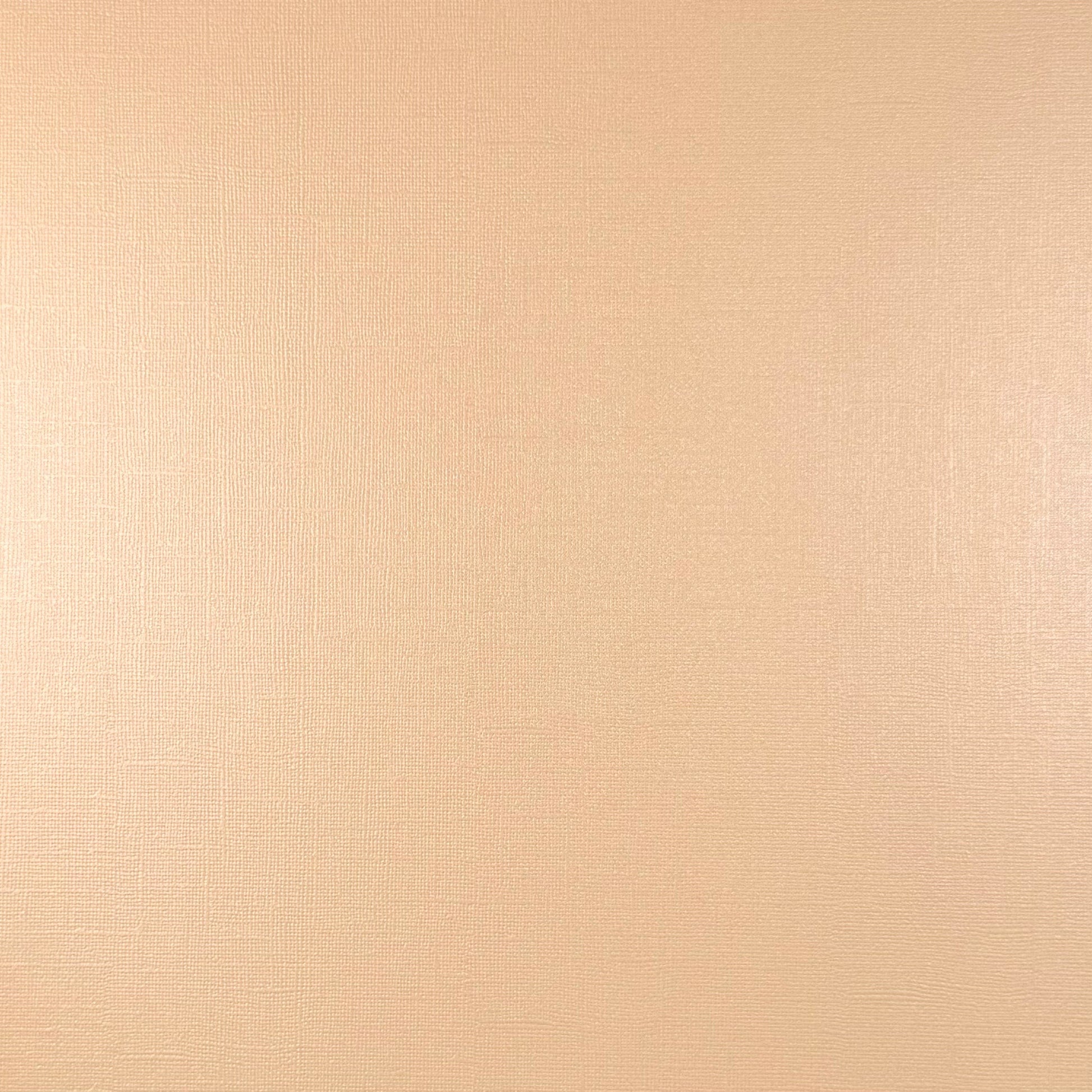 VANILLA PEARL - 12x12 Textured Pearlescent Cardstock - Encore Shimmer