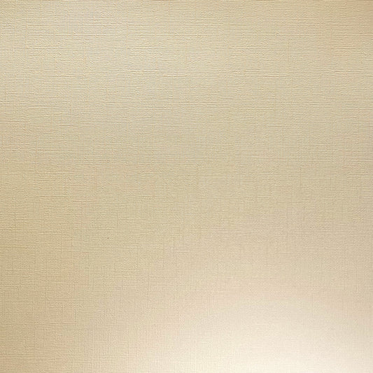 VANILLA PEARL - 12x12 Textured Pearlescent Cardstock - Encore Shimmer