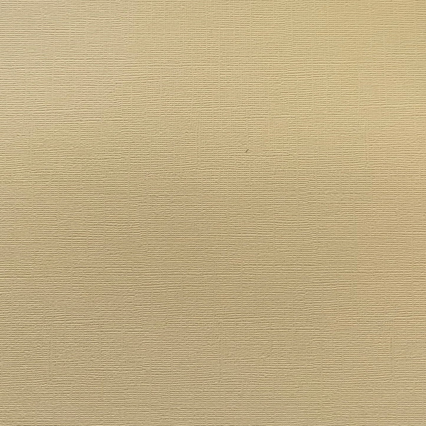 WINTER WHEAT - Textured 12x12 Cardstock - Encore Paper