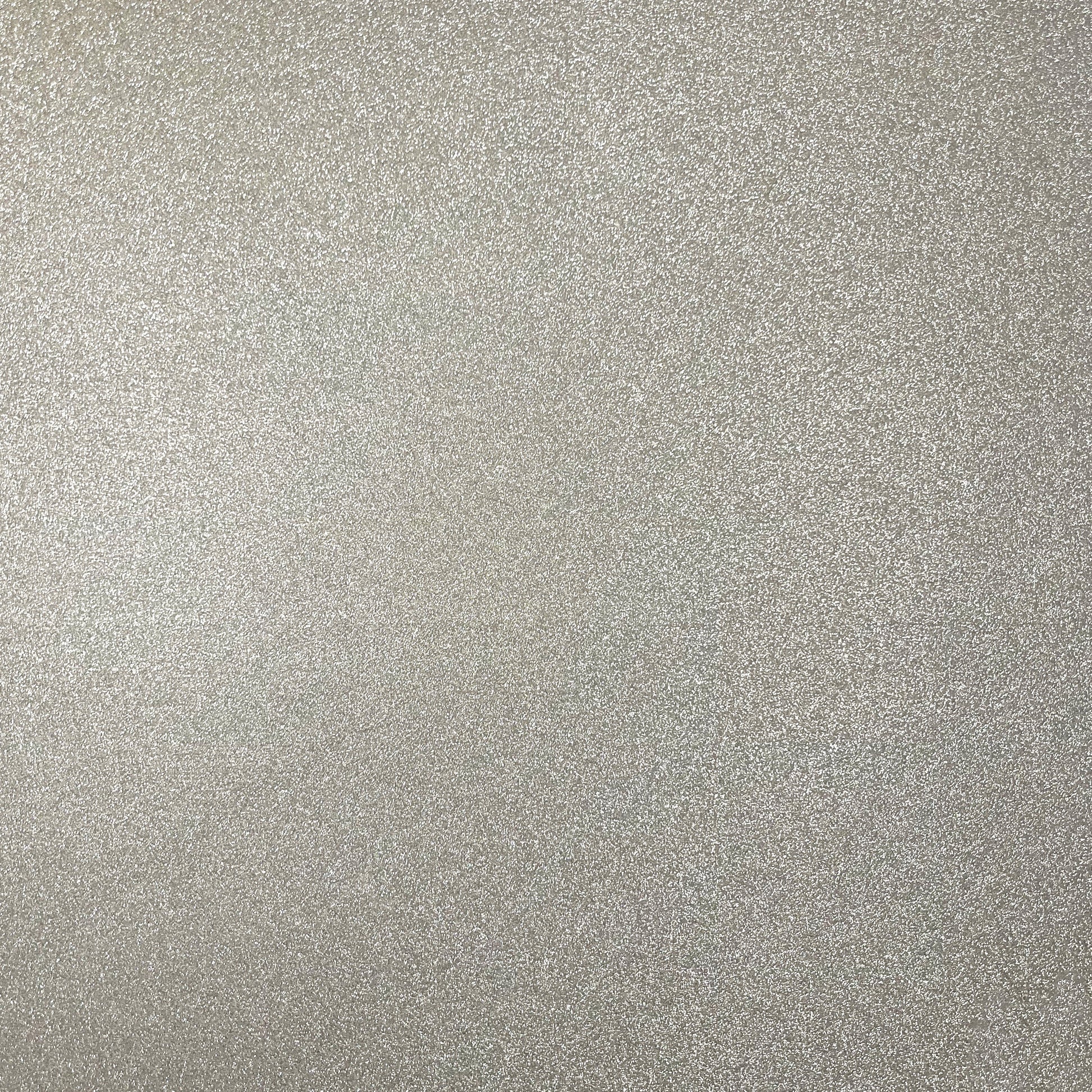 silver fine glitter cardstock - no shed glitter cardstock silver