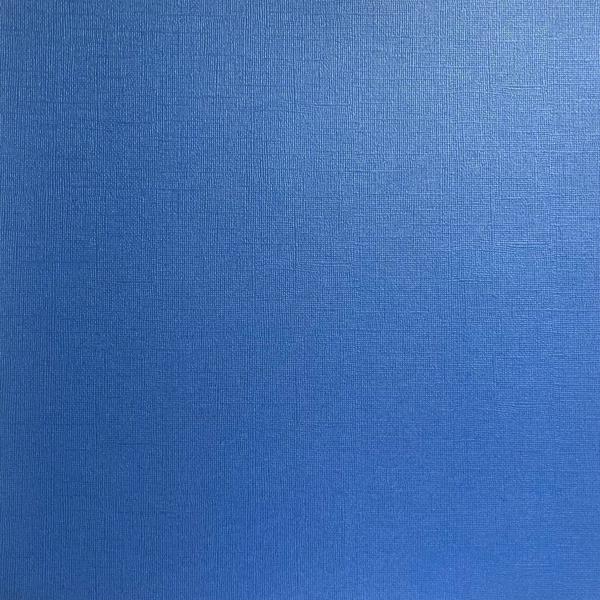 BLUE BUTTERFLY - 12x12 Textured Pearlescent Cardstock - Encore Shimmer