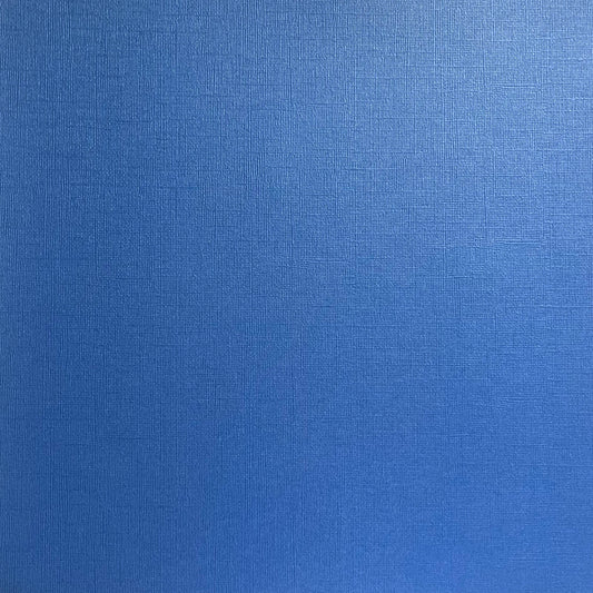 BLUE BUTTERFLY - 12x12 Textured Pearlescent Cardstock - Encore Shimmer